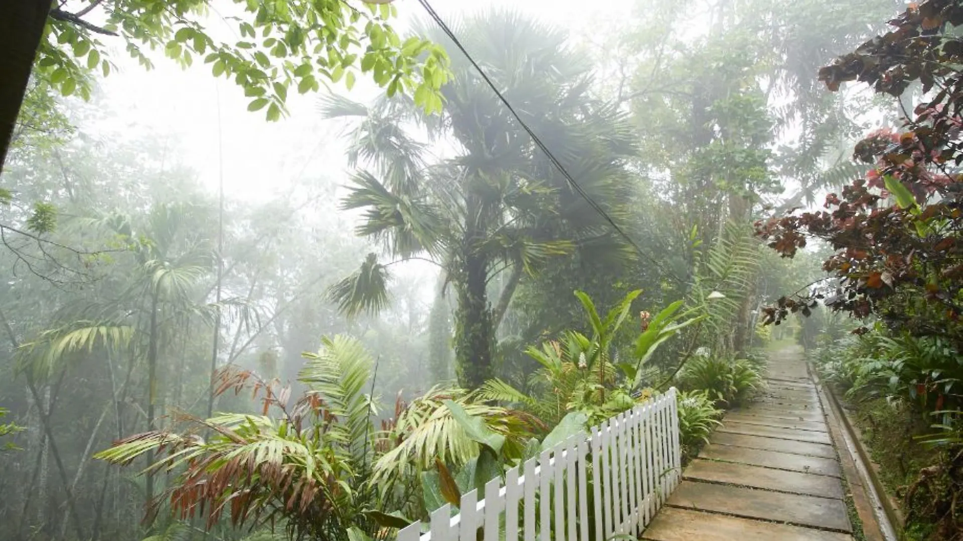 Bellevue The Penang Hill Hotel George Town